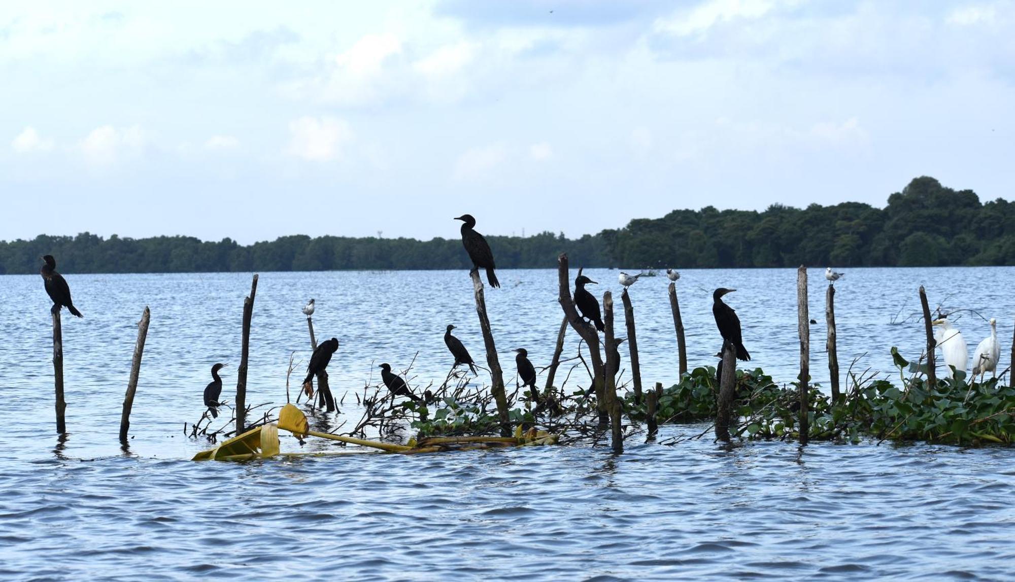 Wetland Resort Negombo Bagian luar foto