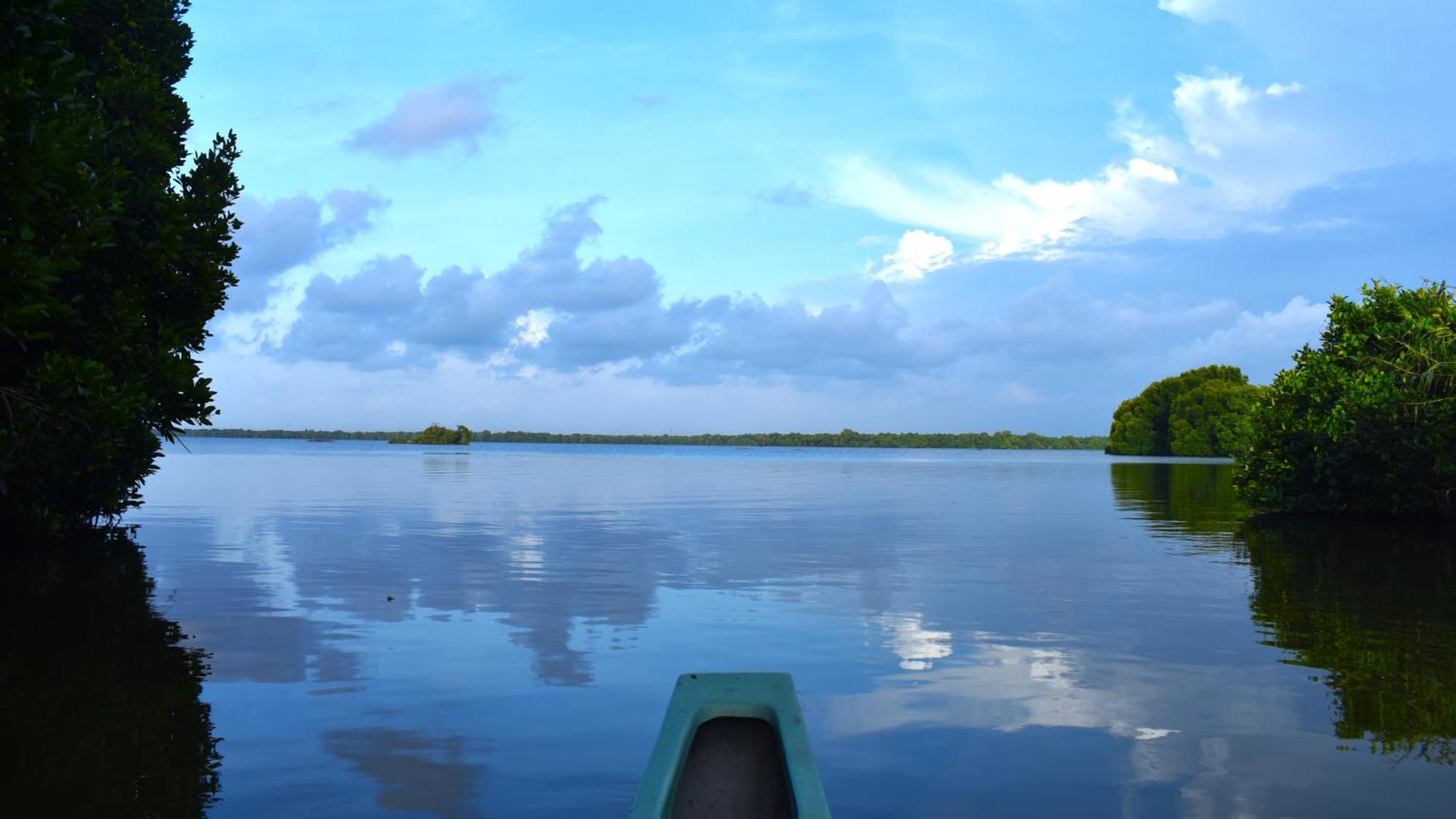 Wetland Resort Negombo Bagian luar foto